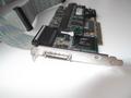 SCSI-RAID-контроллер Mylex AcceleRAID 170